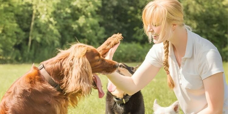 Selecting the Perfect Dog Trainer Eight Essential Tips