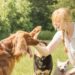 Selecting the Perfect Dog Trainer Eight Essential Tips